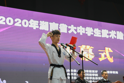 538A8411 538A8411