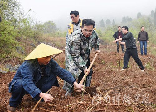 九游(9Game)官方网站党委书记陈弘与潮水铺村村支书一同种下金槐树苗。